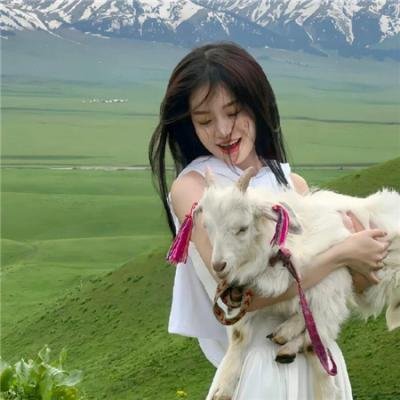 系统又骗我告白