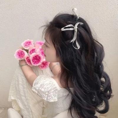 如果历史是一群喵宋辽金夏篇